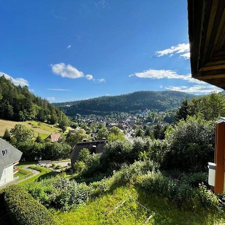 Panorama Apartment Todtmoos Bagian luar foto