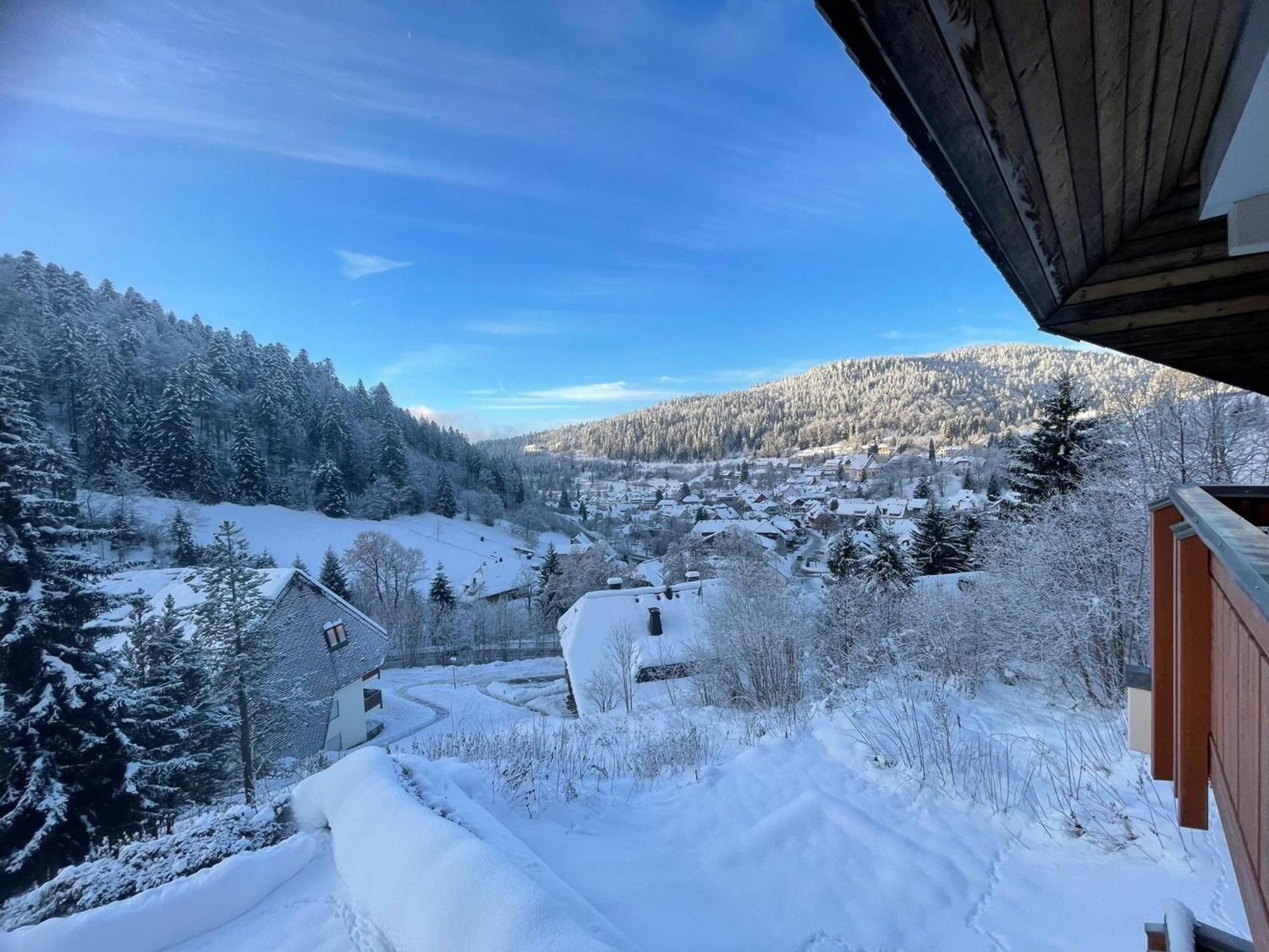 Panorama Apartment Todtmoos Bagian luar foto