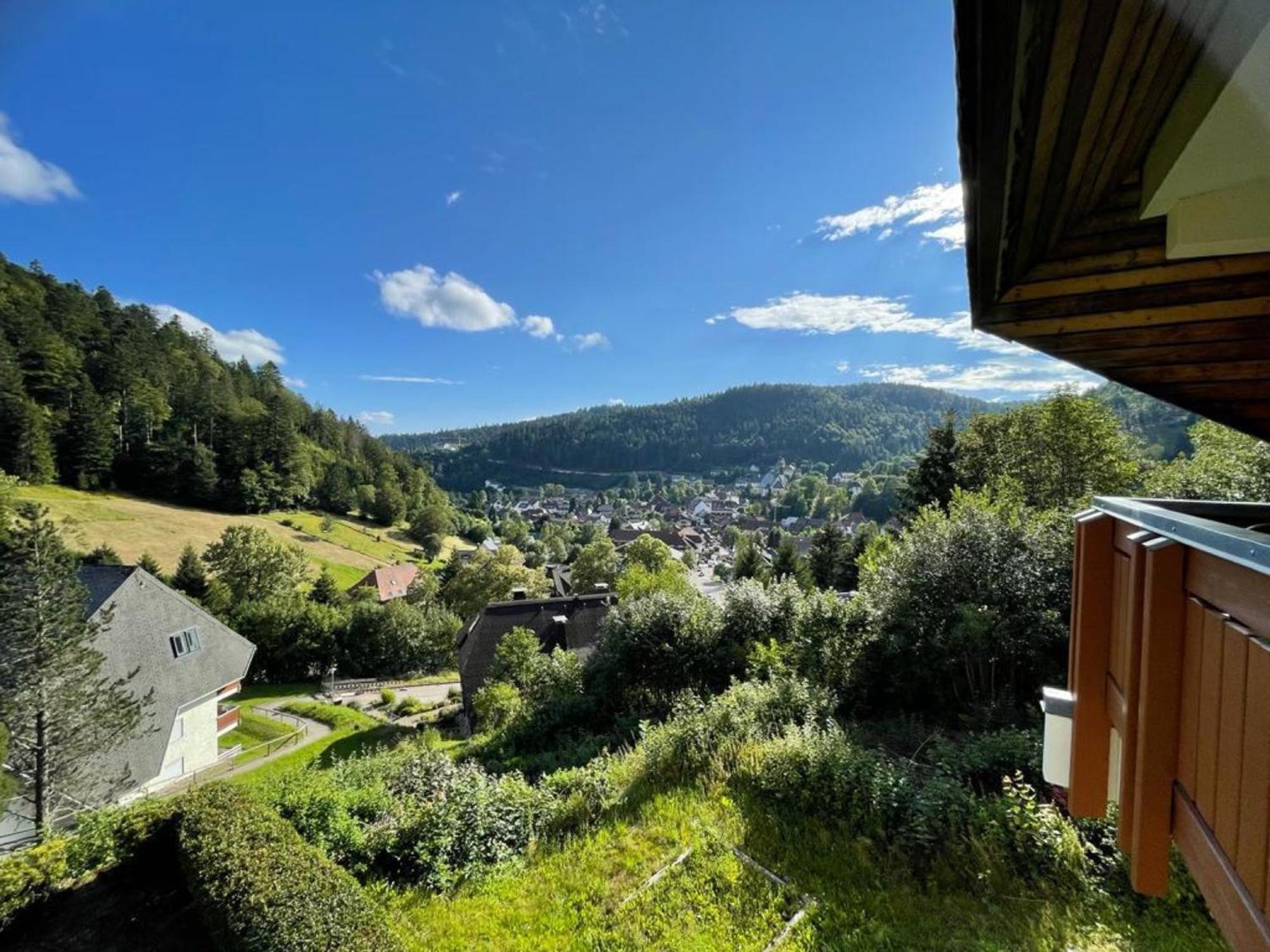 Panorama Apartment Todtmoos Bagian luar foto